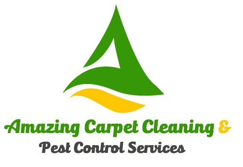 amazingcarpetcleaning